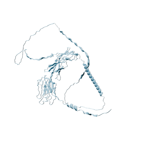 Cynomolgus Nectin-2 (C-6His, HEK293)